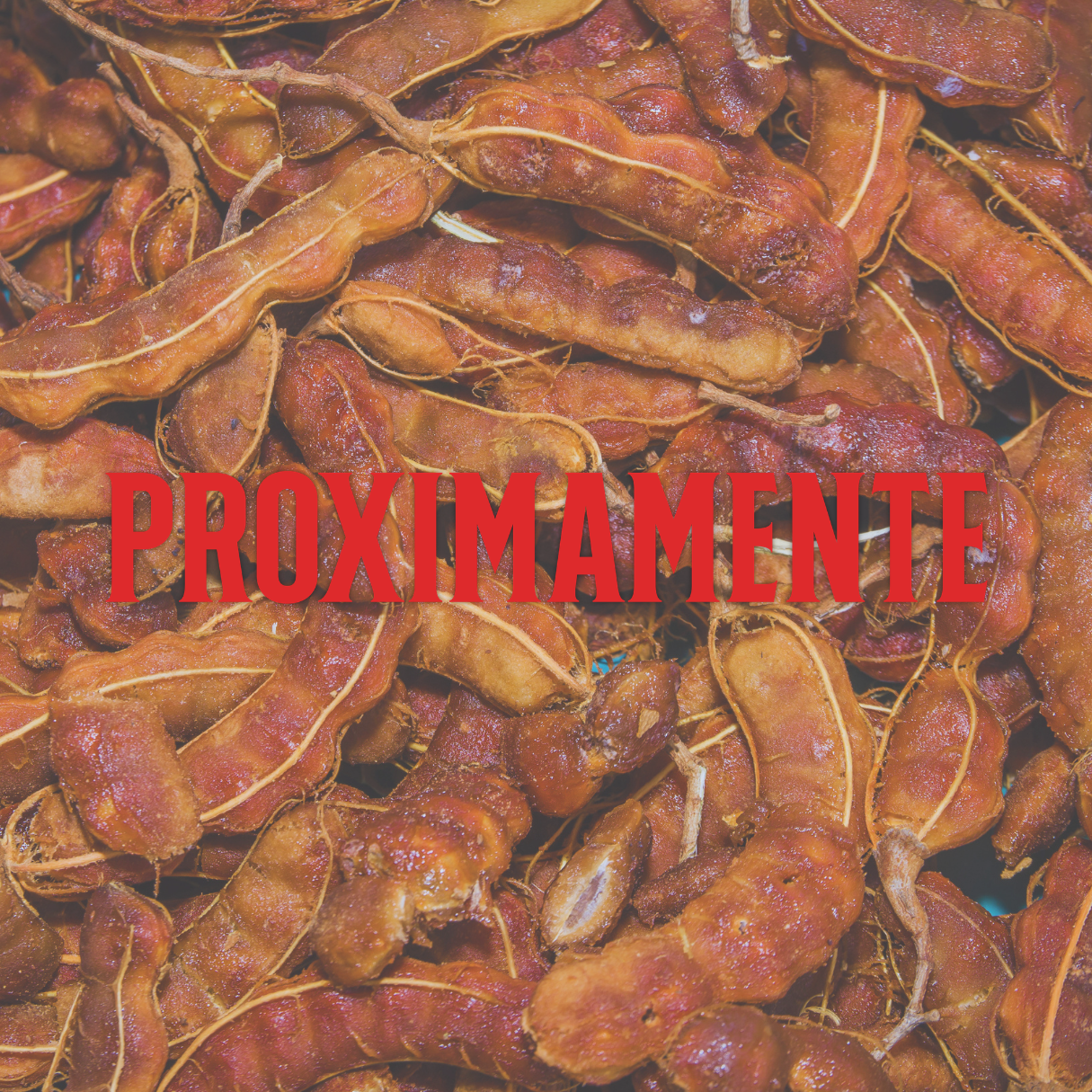 PRÓXIMAMENTE (Tamarindo)