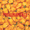 PRÓXIMAMENTE (Habanero)