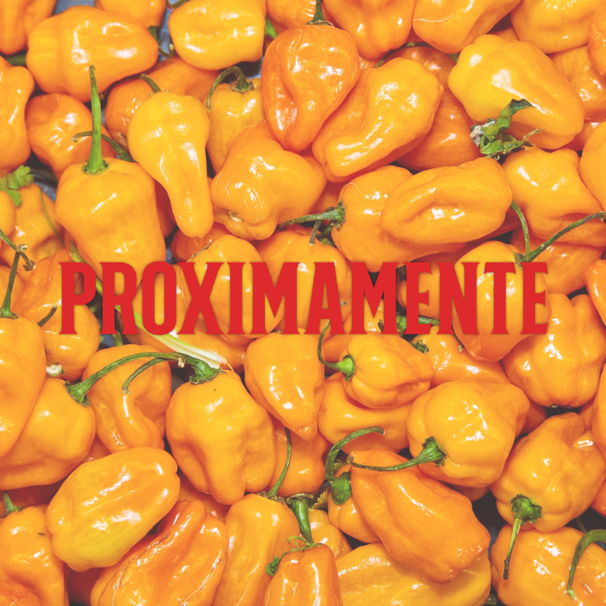 PRÓXIMAMENTE (Habanero)